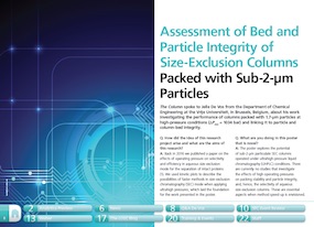 Assessing particle and column-bed integrity of SEC columns